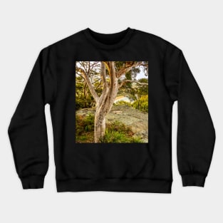 Mount Ettalong Lookout, Umina Beach, NSW, Australia Crewneck Sweatshirt